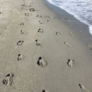 Meet your Posher, Lerin